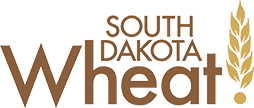 SD Wheat