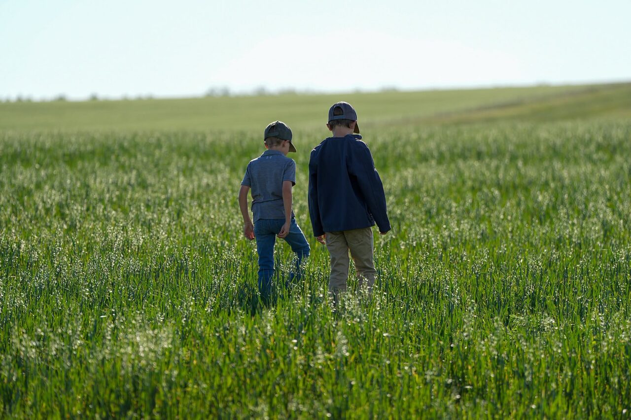 Two young boys walking through a green field on the Jorgensen operation